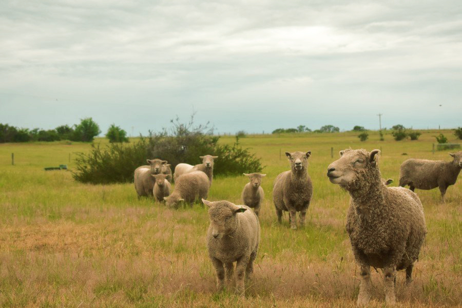 Agricultural Law Matters